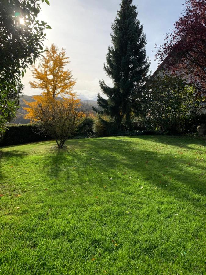 Haus Am Pfingstborn Appartement Ober-Mörlen Buitenkant foto